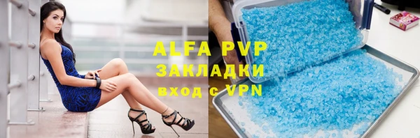 СК Алзамай