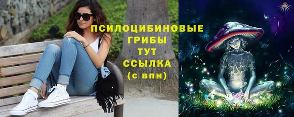 СК Алзамай